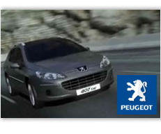 Peugeot 407 case study image